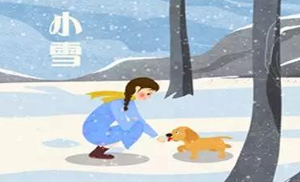 安氏亞森板材：小雪丨花開天下暖，葉落天下寒